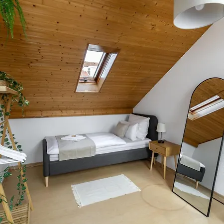 Cozy 公寓 沃尔姆斯